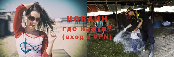 прущие грибы Куйбышев