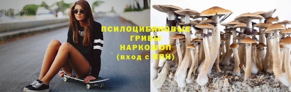 прущие грибы Куйбышев