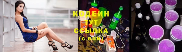 прущие грибы Куйбышев
