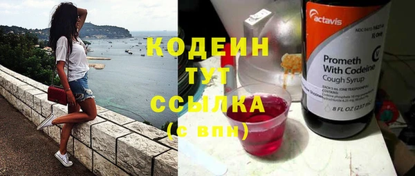 прущие грибы Куйбышев
