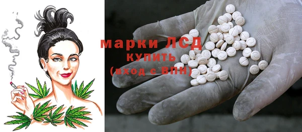 прущие грибы Куйбышев