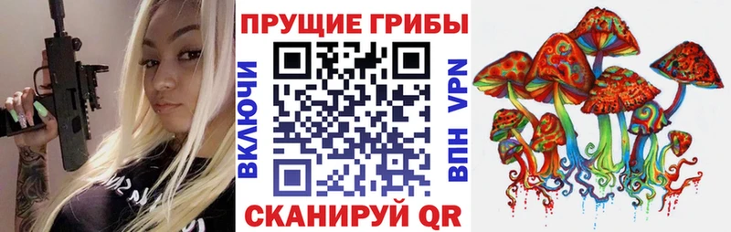 Галлюциногенные грибы Magic Shrooms  Купить где  Верхнеуральск 